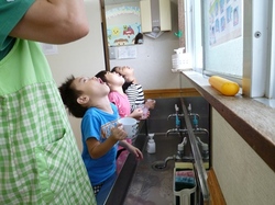 P1000019.JPG