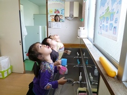 P1000026.JPG