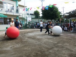 DSCF4096.JPGのサムネール画像