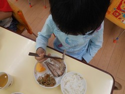 DSCN0665.JPG