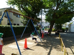 P1000268.JPG