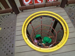P1000290.JPG