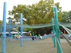 P1000297.JPG