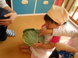 DSCN2942.JPG