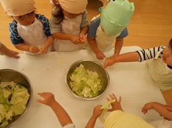 DSCN2956.JPG