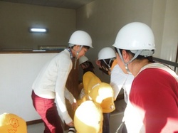 DSCF4355.JPG