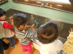 DSCN3198.JPG