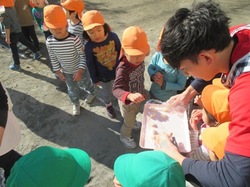 IMG_0007.JPG