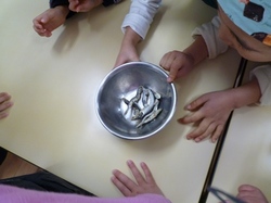 P1000738.JPG