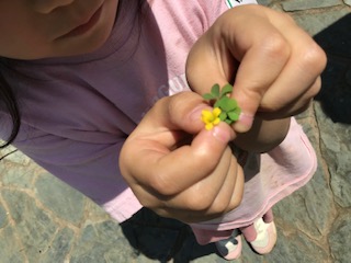 image2.jpeg