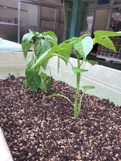 image9.jpeg