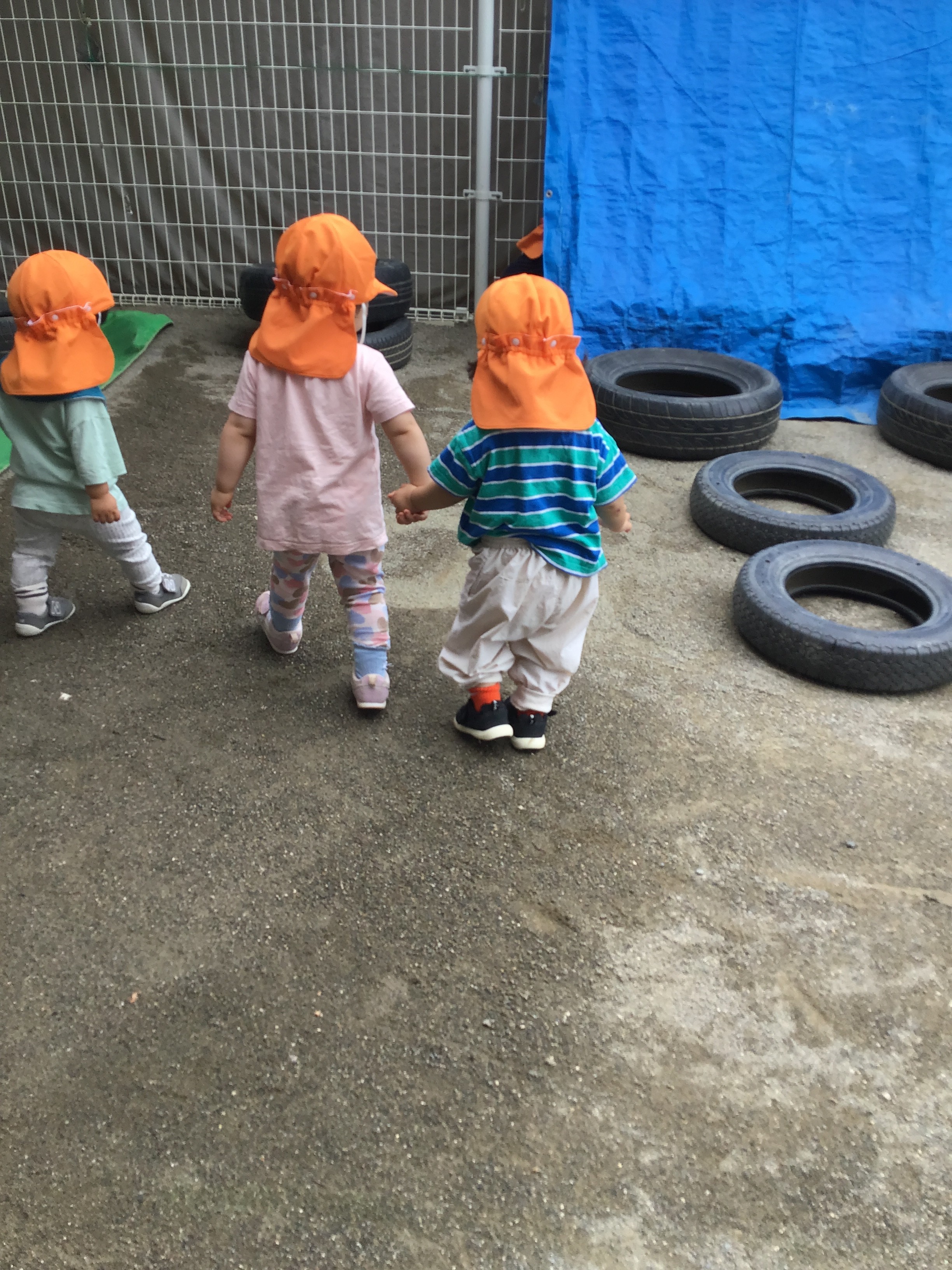 image5.jpeg