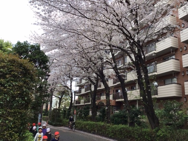 image0.jpeg