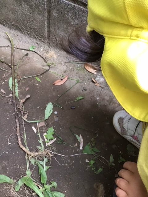 image2.jpeg