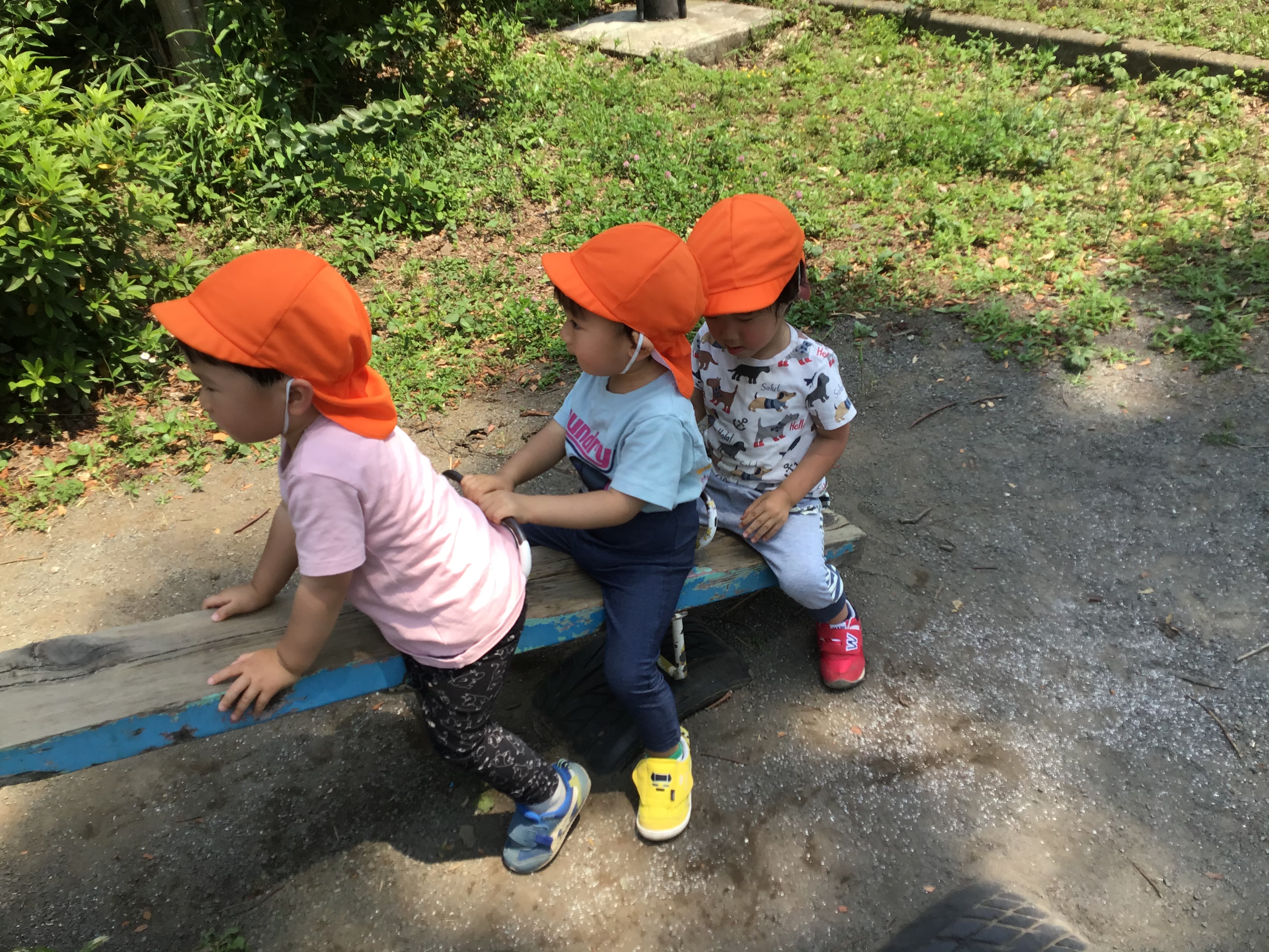 image2.jpeg