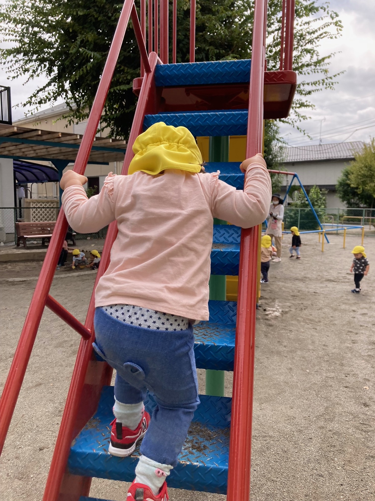 image1.jpeg