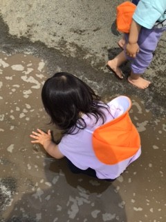image1.jpeg
