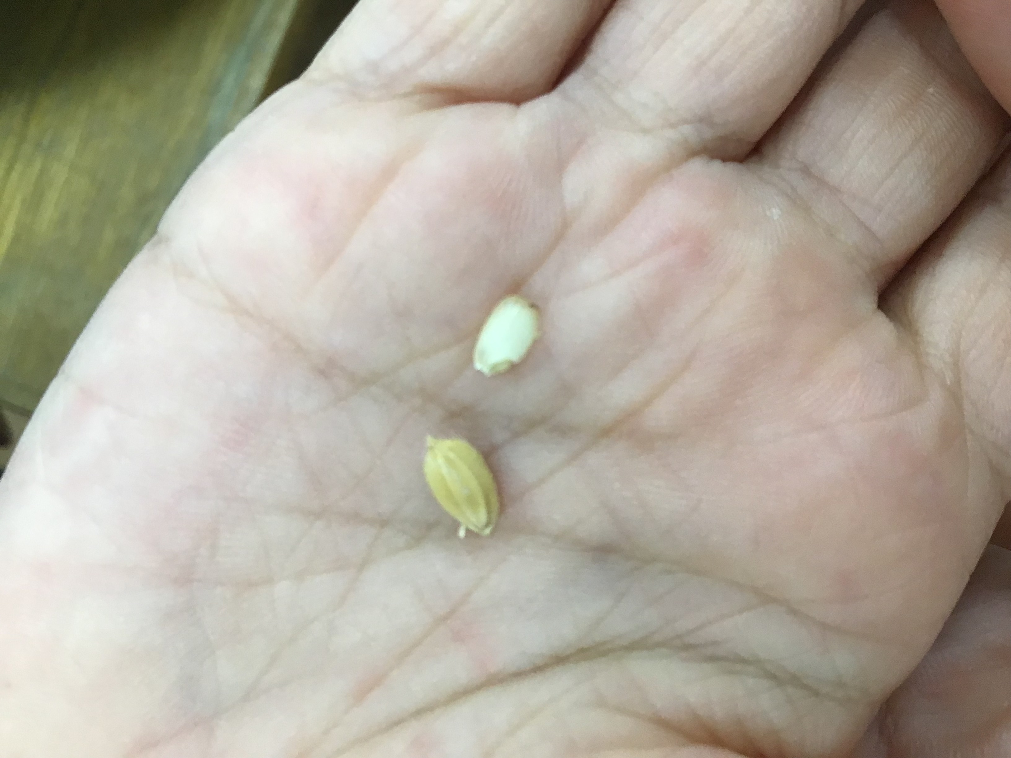 image4.jpeg