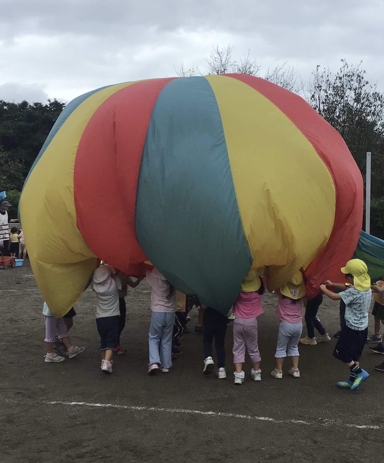 image6.jpeg