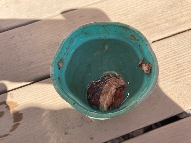 image2.jpeg