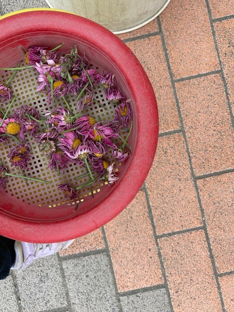image9.jpeg