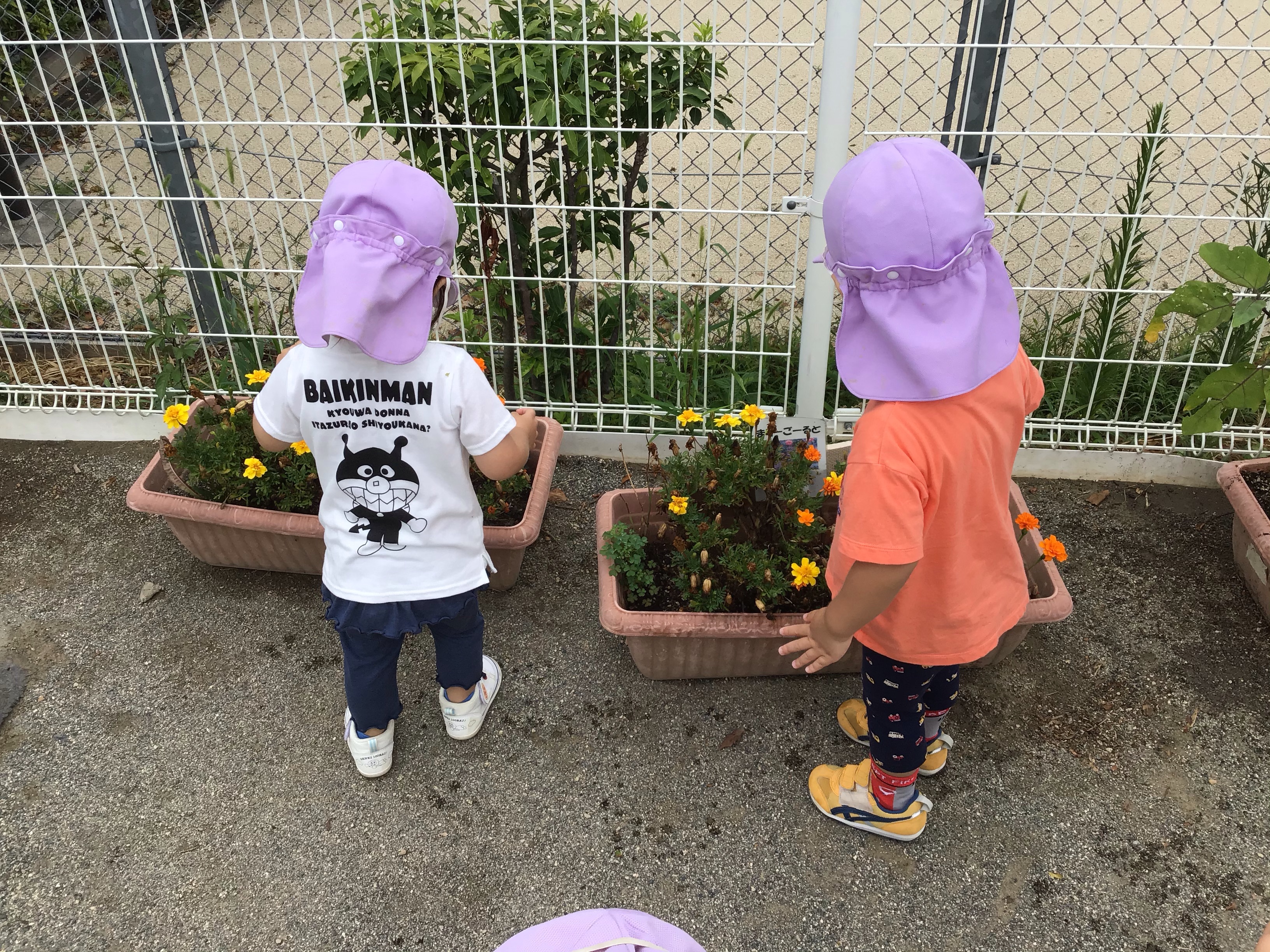 image8.jpeg