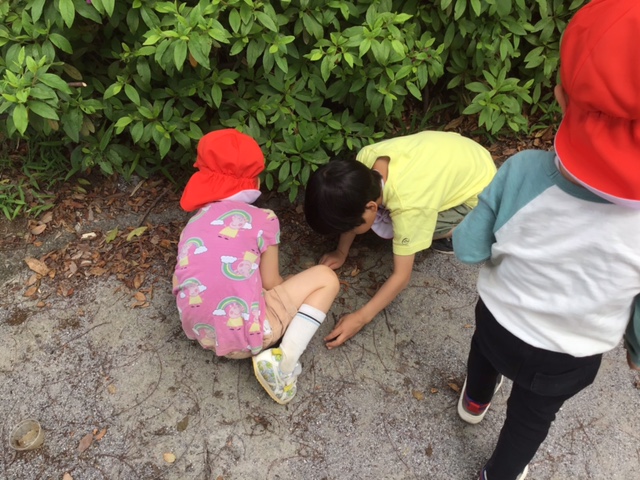 image9.jpeg