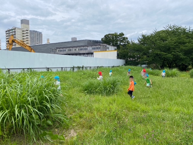 海組、空組 お散歩に行ったよ(4歳児、5歳児)